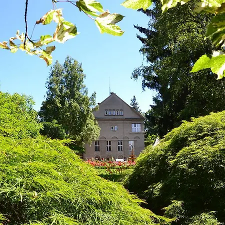 Cerych Česká Skalice