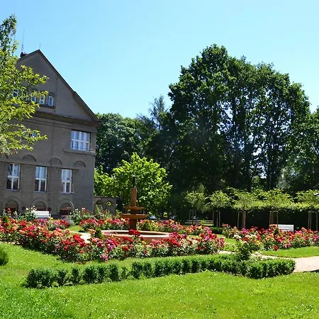 Cerych